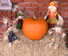 3 Shopping Grocery 480w
