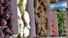 5 Shopping Produce Market 480w