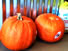 7 Shopping Produce Market 480w