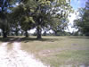 Shumack Realty Bartlett 001