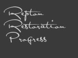 Repton Restoration Progress
